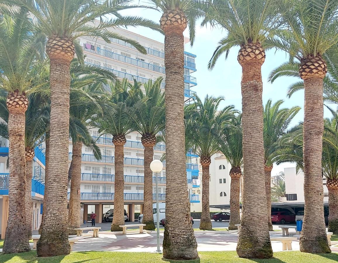 Exclusif Appartement En 1Er Ligne, Vue Imprenable, Piscine, Parking Prive A Playa Mucha Vista, Alicante El Campello Exteriör bild